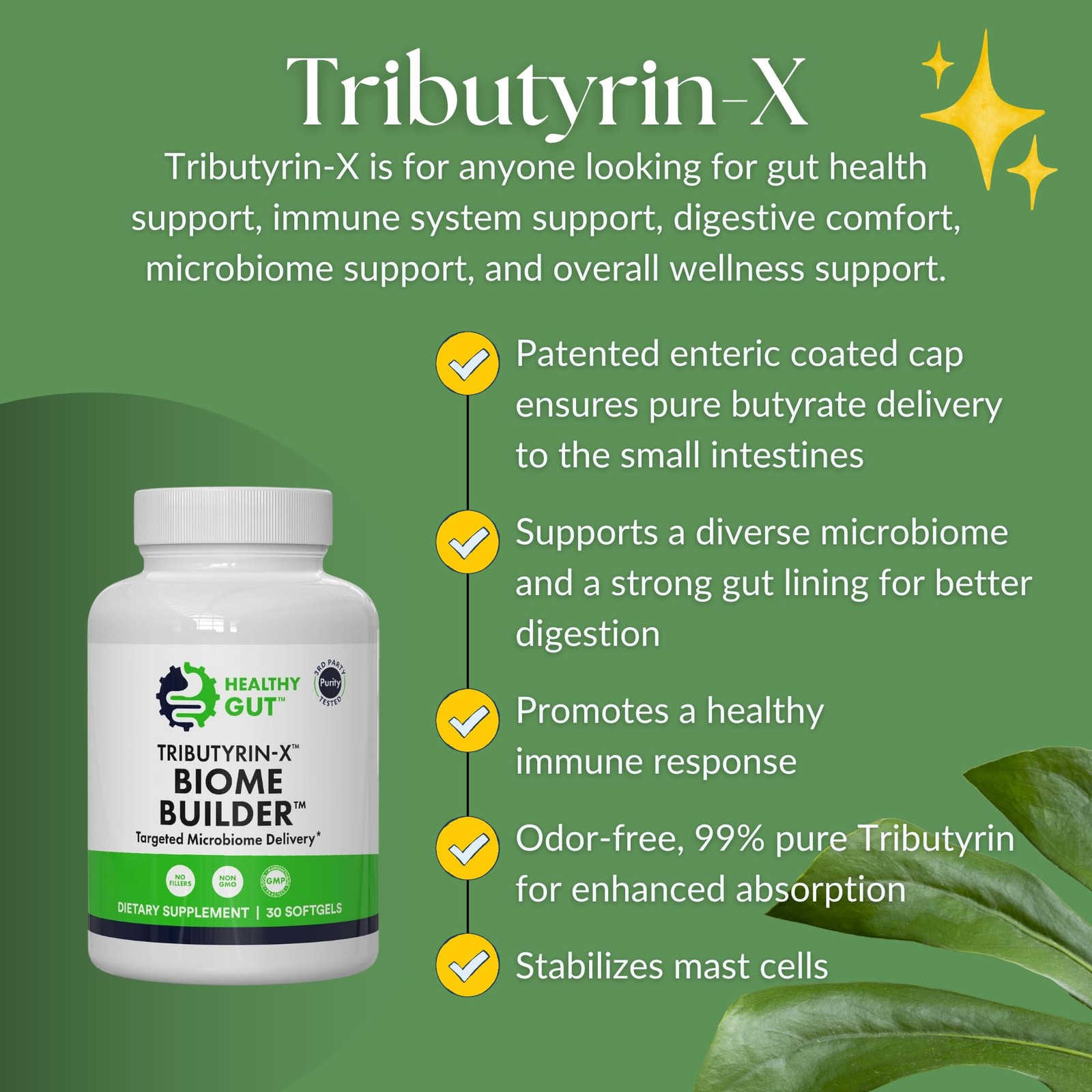 Healthy Gut Tributyrin-X | Most Bioavailable Butyrate 30 Count (Pack of 1)