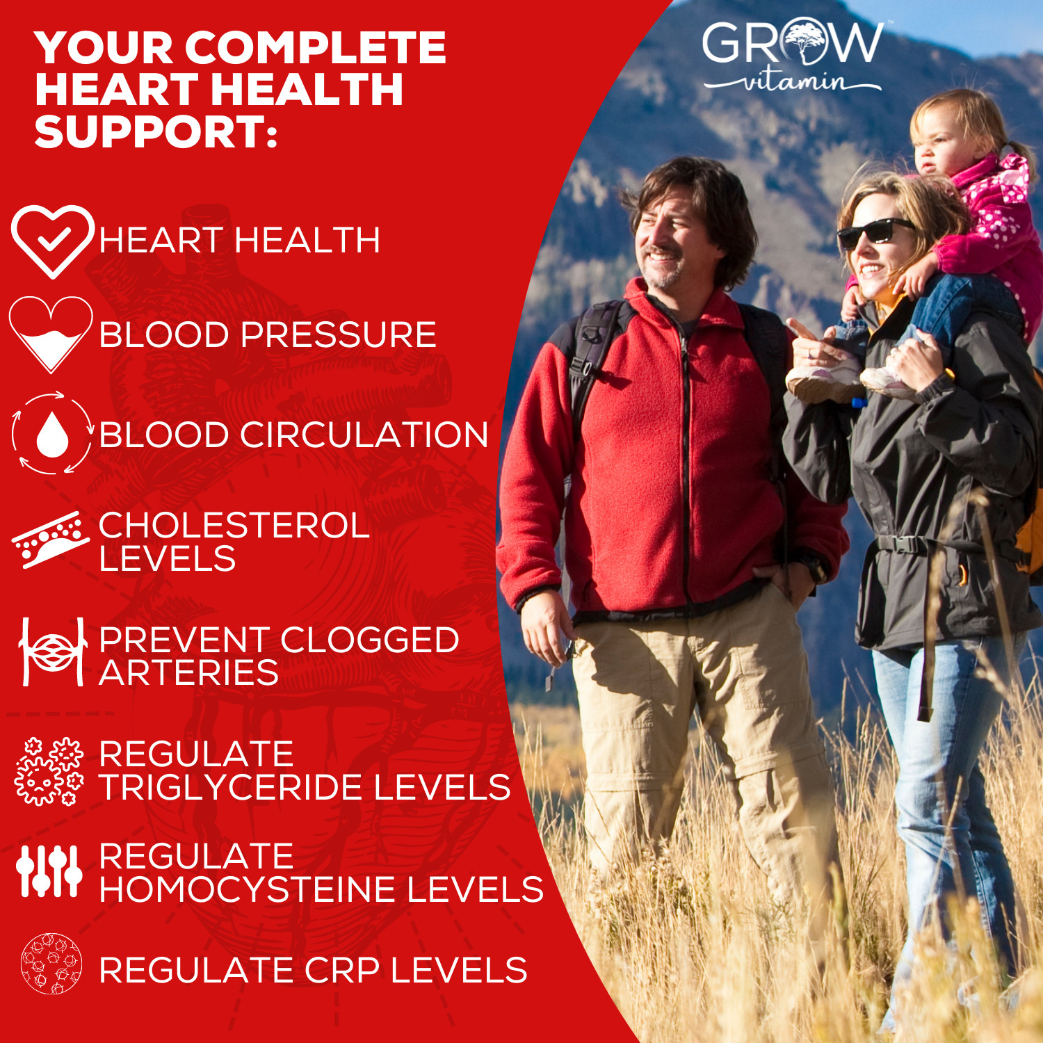Healthy Heart Support, Complete Heart Health With 22 Premium Herbs & Vitamins