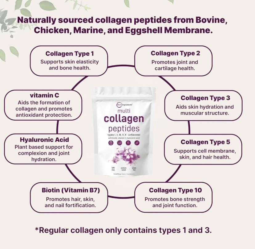 Micro Ingredients Multi Collagen Peptides – Types I,II,III,V,X , Unflavored