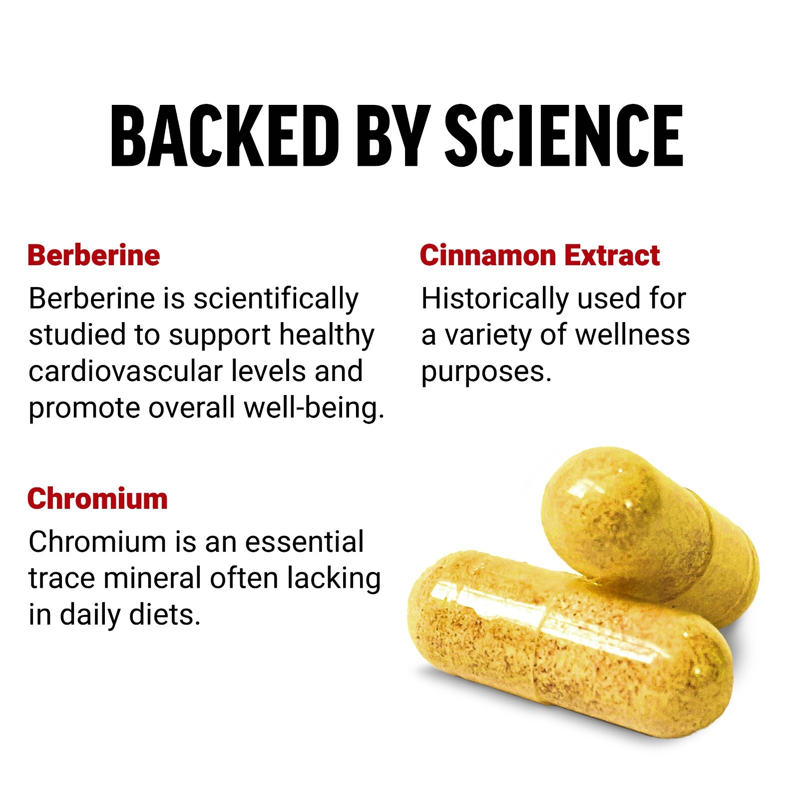 Force Factor Ultra Berberine Supplement with Cinnamon for Blood Sugar Support