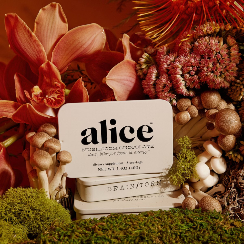 Alice Mushrooms Brainstorm Mushroom Dietary Supplement Chocolates – 8ct
