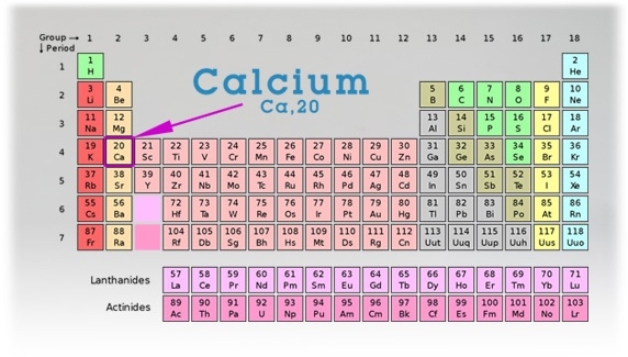 Calcium 32oz. – Liquid Mineral