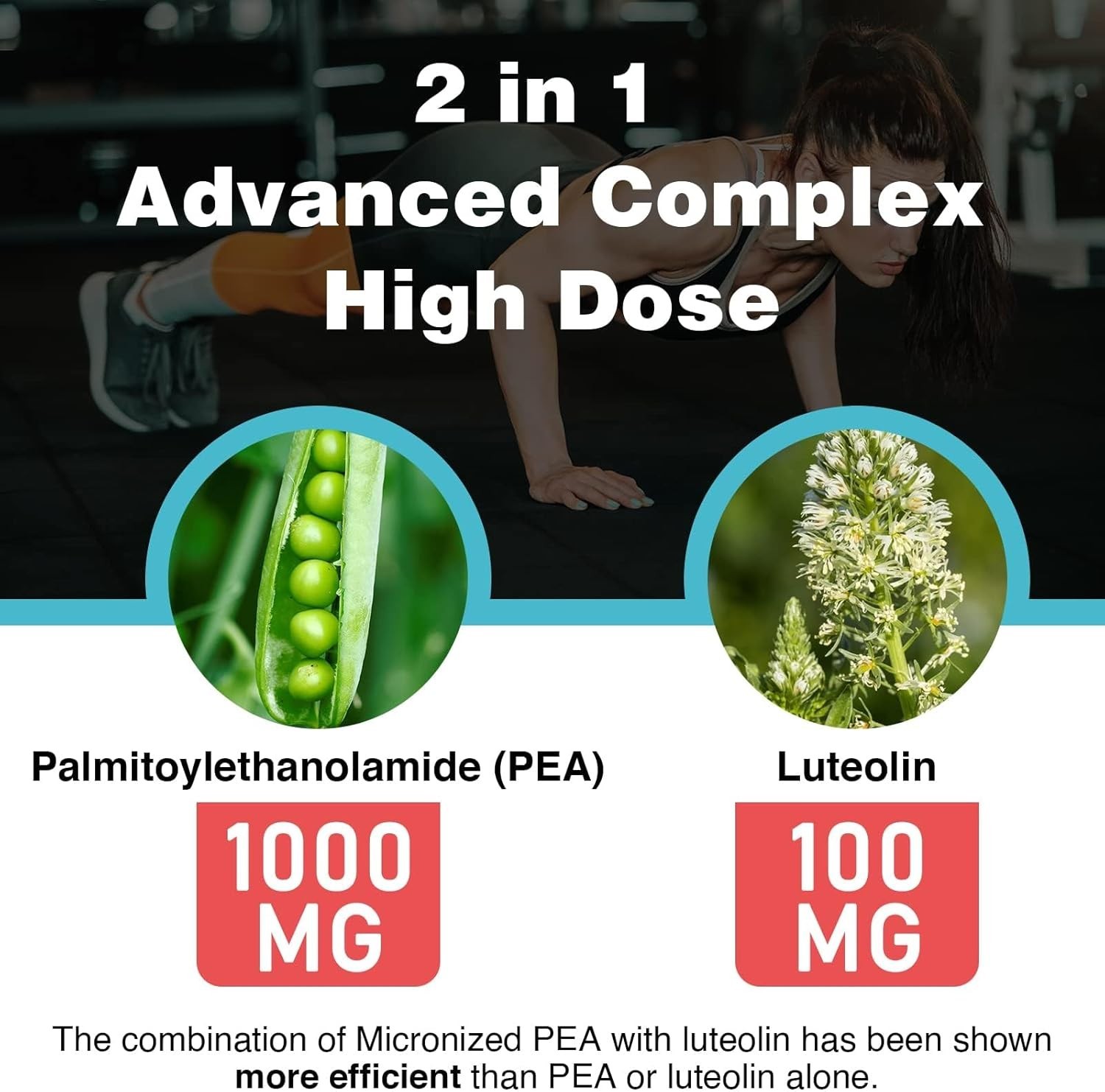 Micronized 1000mg Palmitoylethanolamide + 100mg Luteolin – Max Absorption