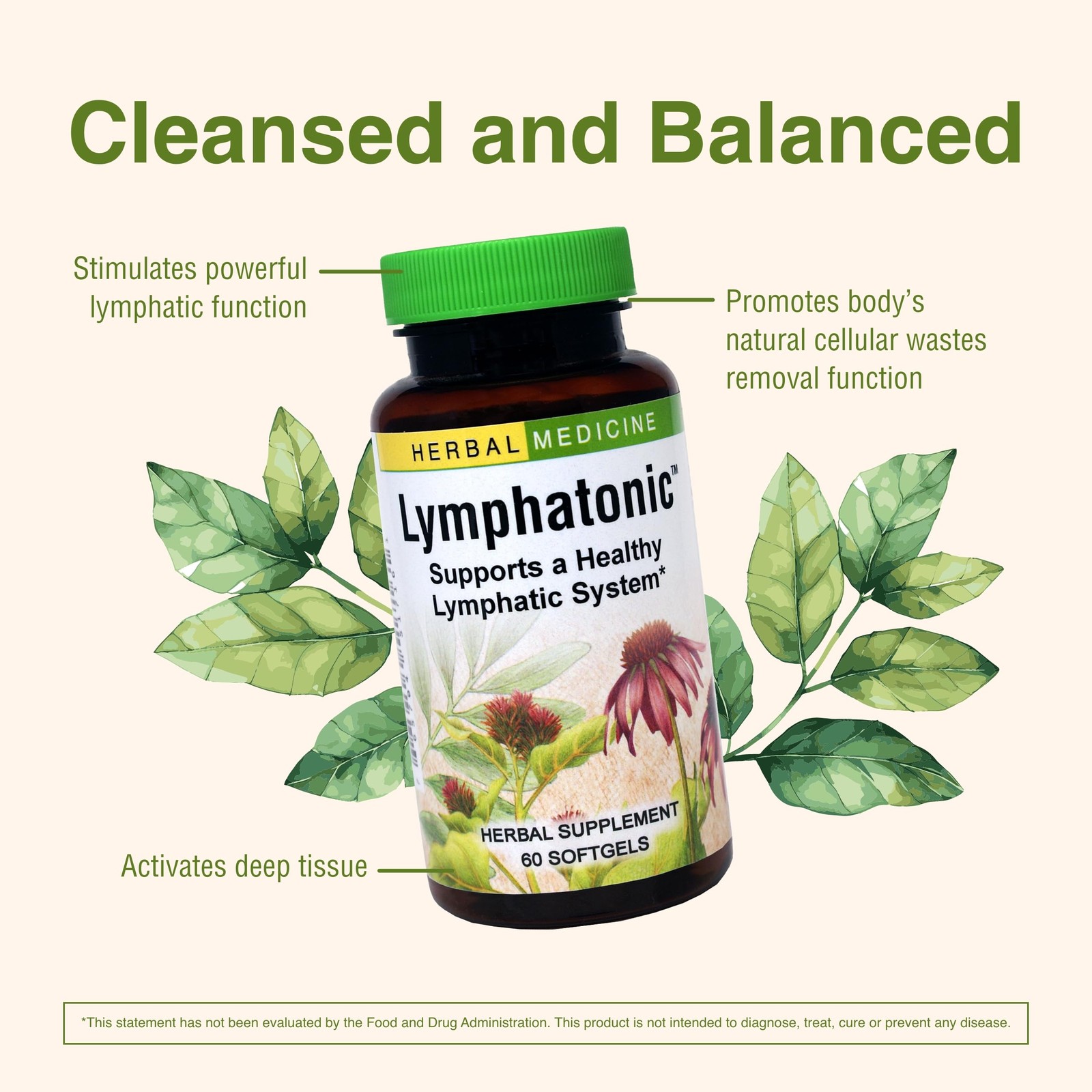 Herbs Etc. Lymphatonic Softgels – Lymph System Support – 60 Count (Pack of 2)