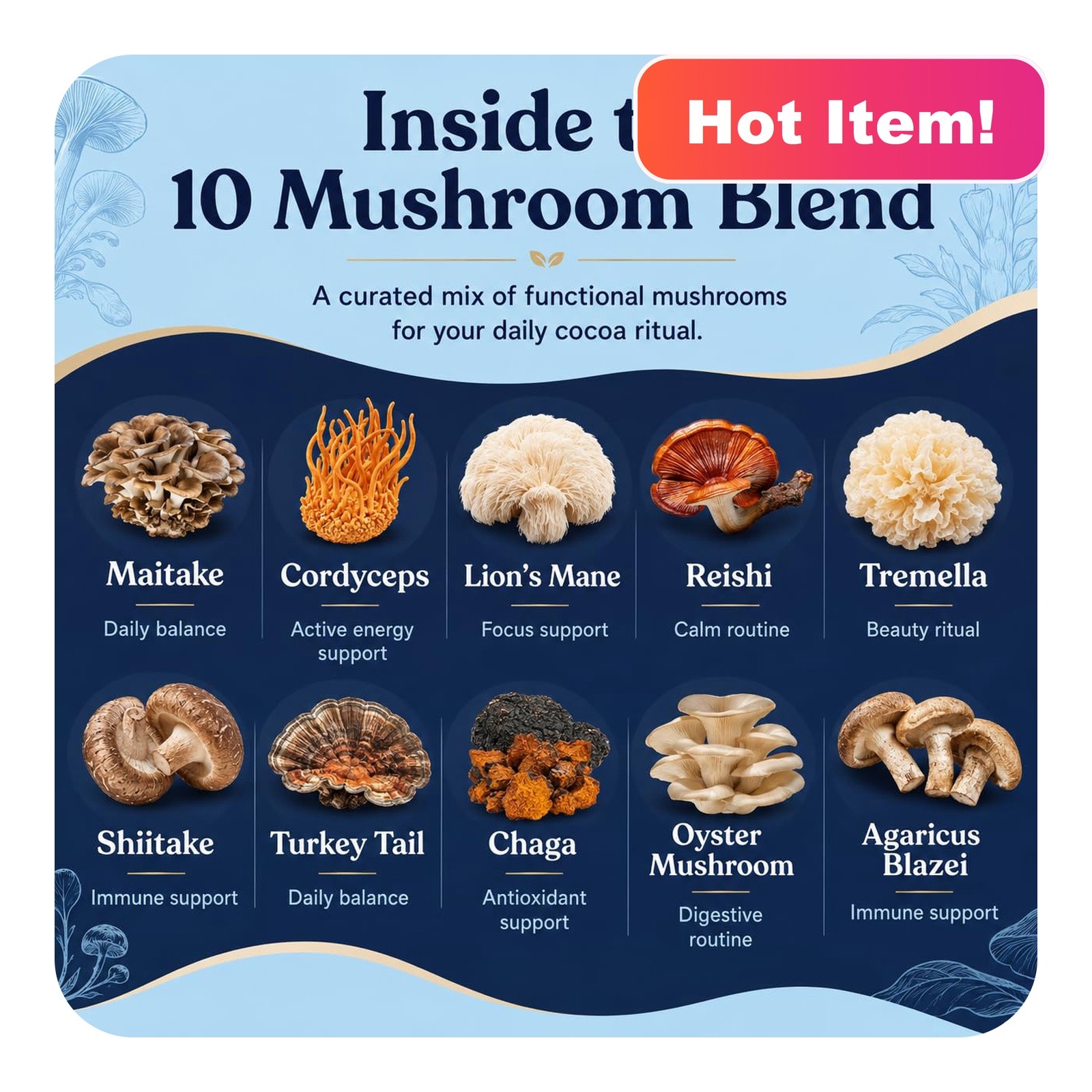 Suiyilary Mushroom Melatonin Cocoa 5.3oz Sugar Free Keto