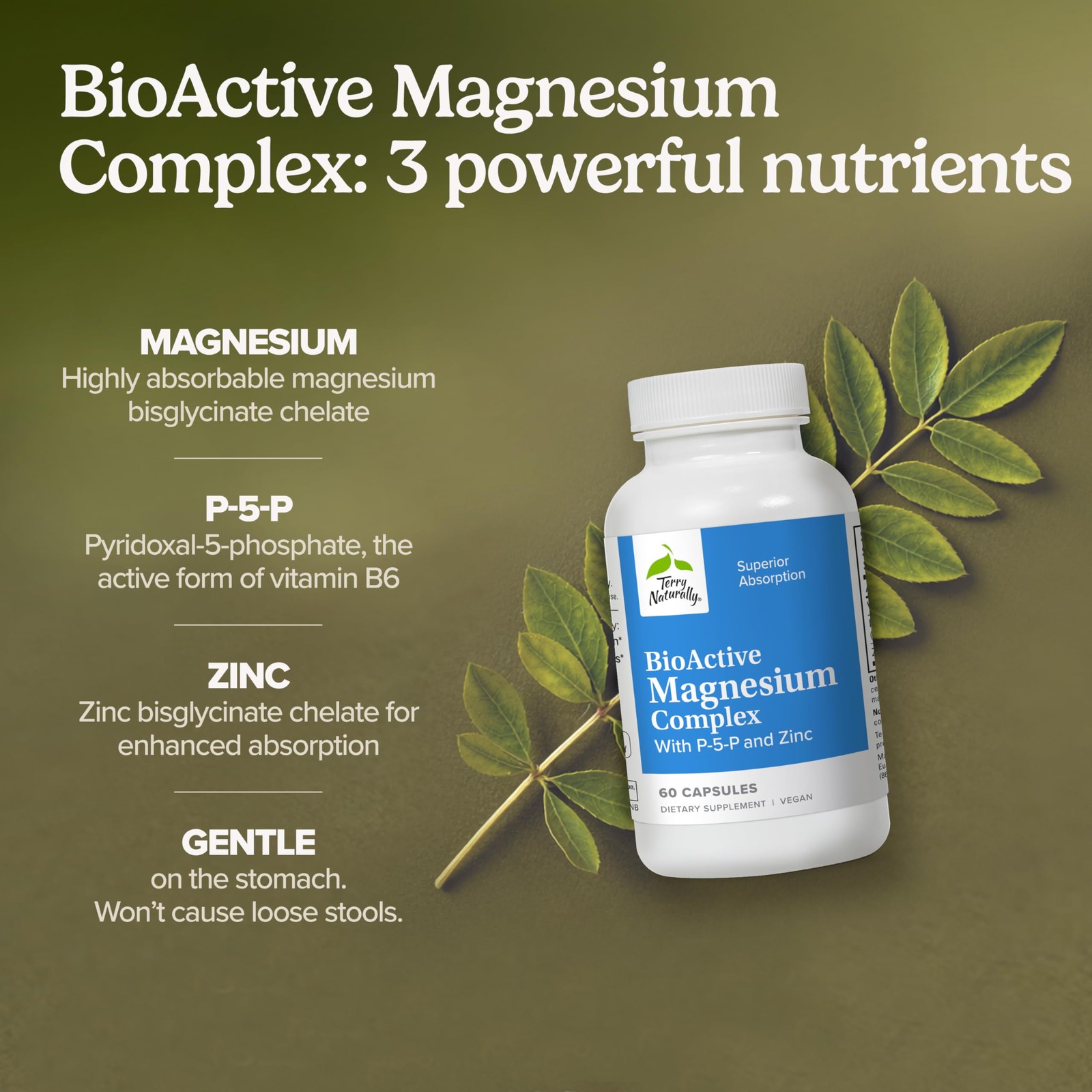 Terry Naturally P-5-P/Mag – 60 Vegan Capsules – Vitamin B6