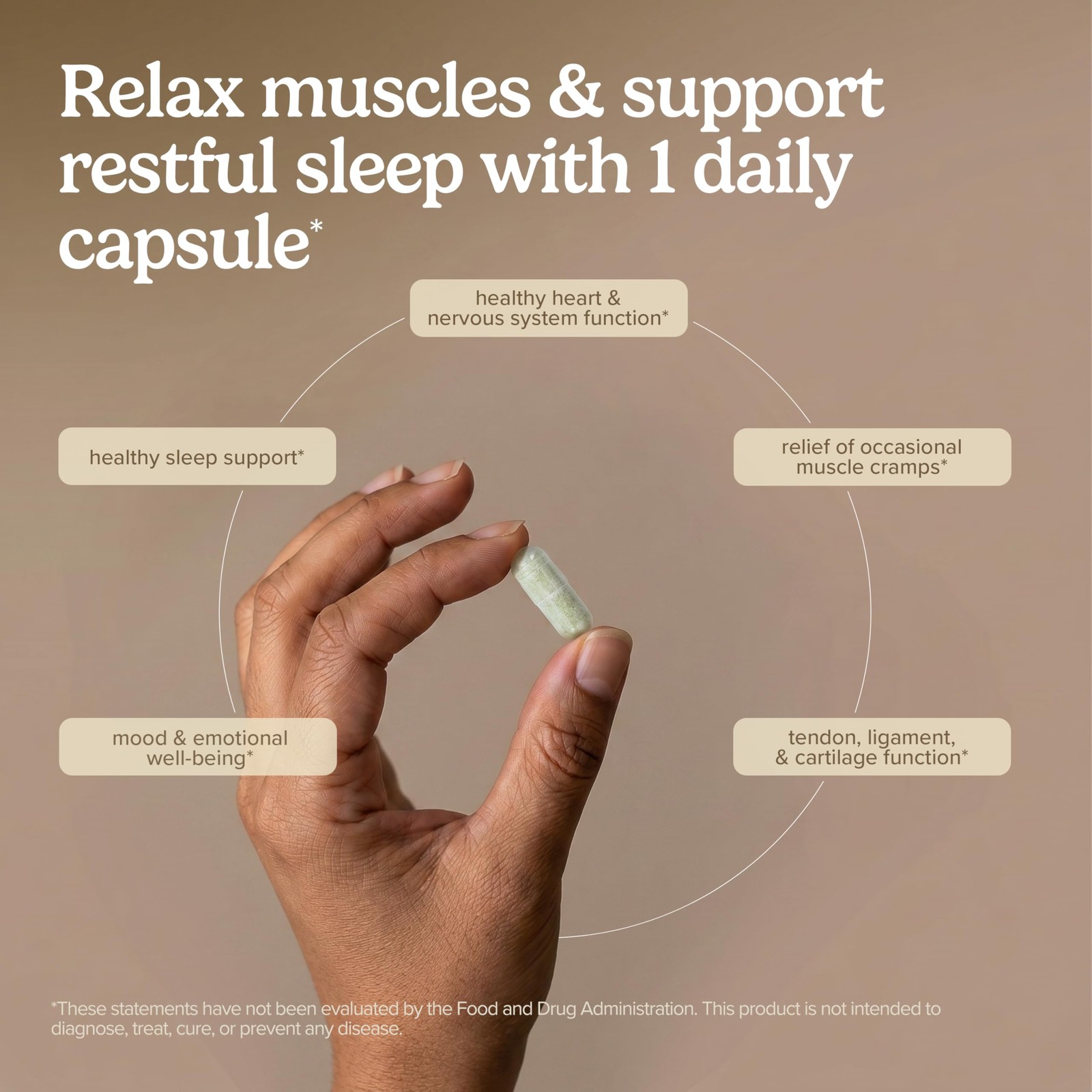 Terry Naturally P-5-P/Mag – 60 Vegan Capsules – Vitamin B6