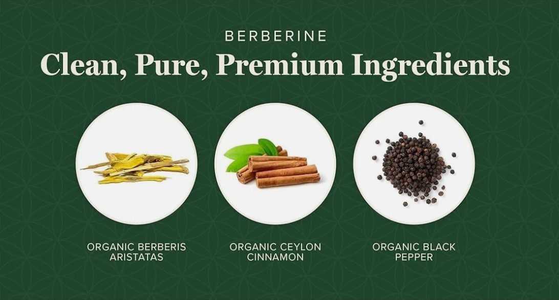 Global Healing Organic Berberine, Ceylon Cinnamon & Black Pepper-1200mg EXP12/27