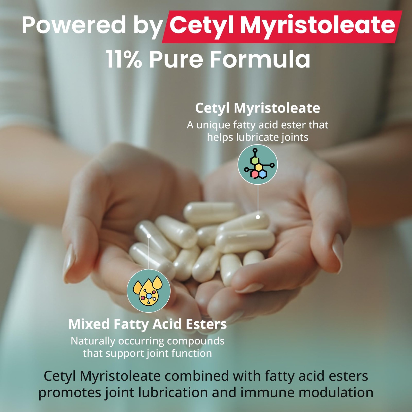 Karuna Cetyl Myristoleate 120 Capsules | Supports Joint 120 Count (Pack of 1)