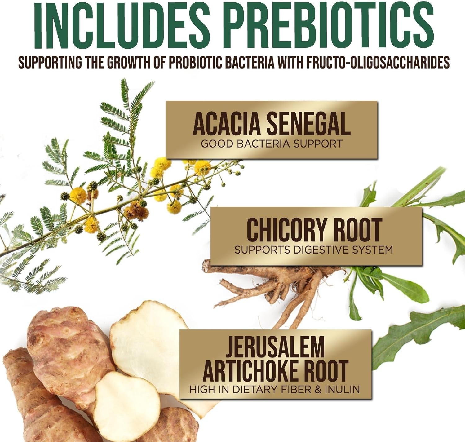Probiotics 60 Billion CFU + 10 Strains – Daily Probiotic Lactobacillus Blend Gut