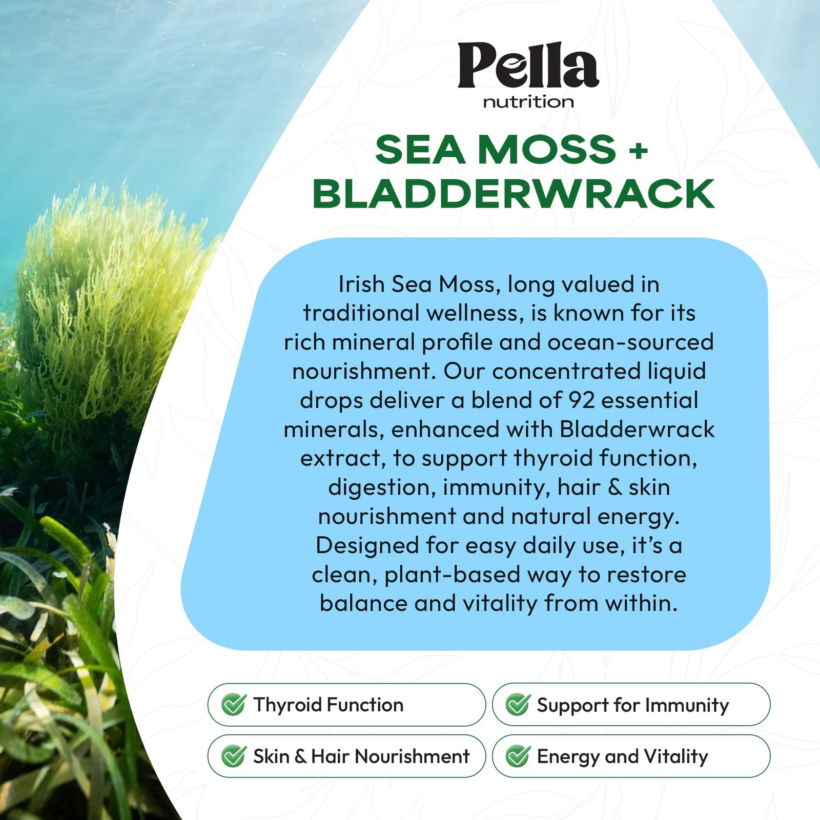 Pella Nutrition Sea Moss Drops with Bladderwrack – 4X 2 Fl Oz (Pack of 1)