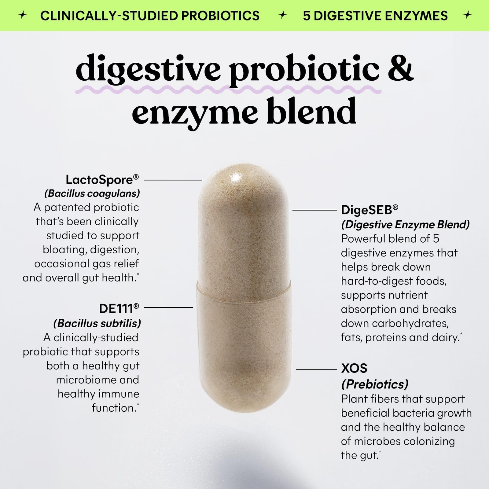 Debloat 3-in-1 Prebiotic, Probiotic & Digestive Enzyme Capsules for Bloating …