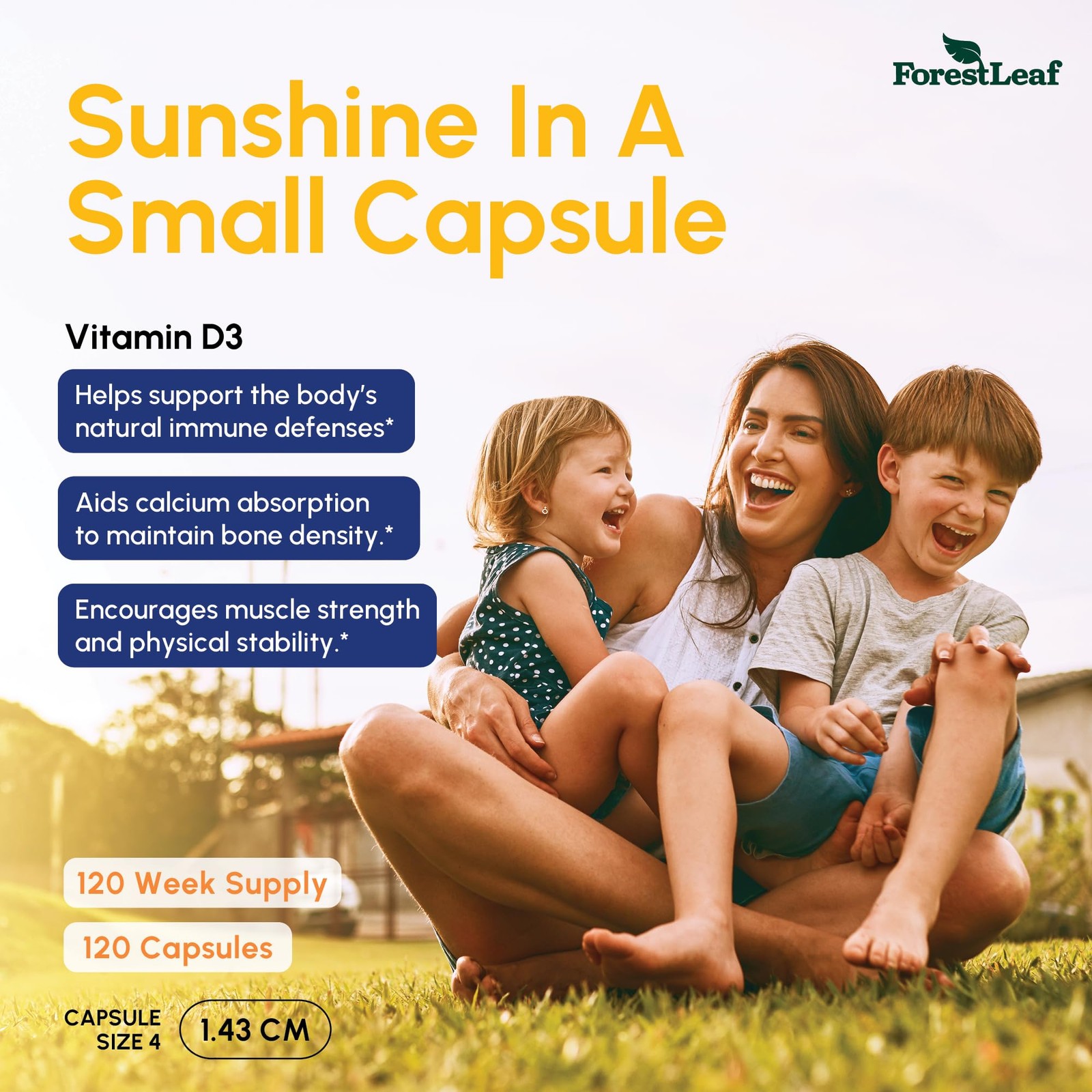 ForestLeaf Vitamin D3 50,000 IU | VIT D – Kosher 120 Count (Pack of 1)