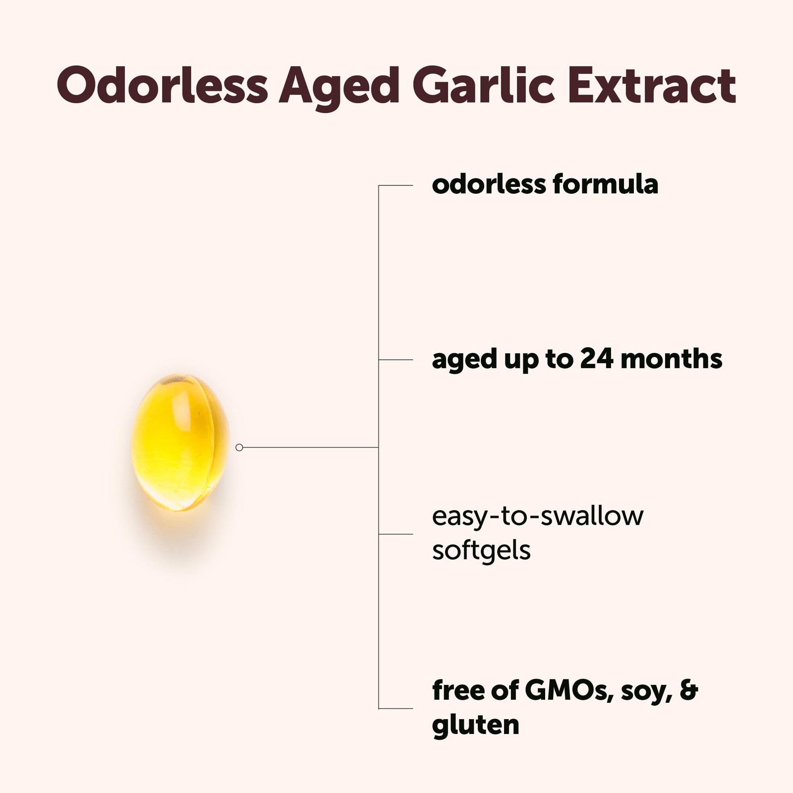 Odorless Garlic, 300 Softgels | 2 Years Aged Garlic Extract | Grown Allium Sa…