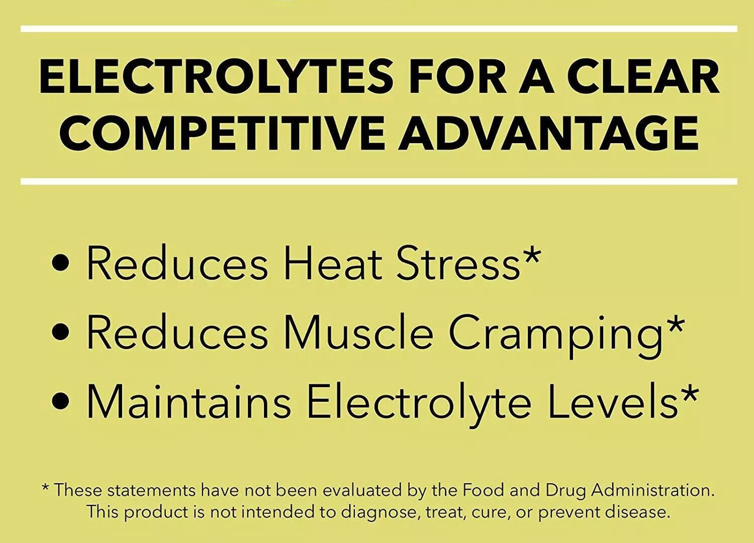Salt Stick Electrolyte Fast Chews 60ct Chewable Energy Supplement Choose Flavor