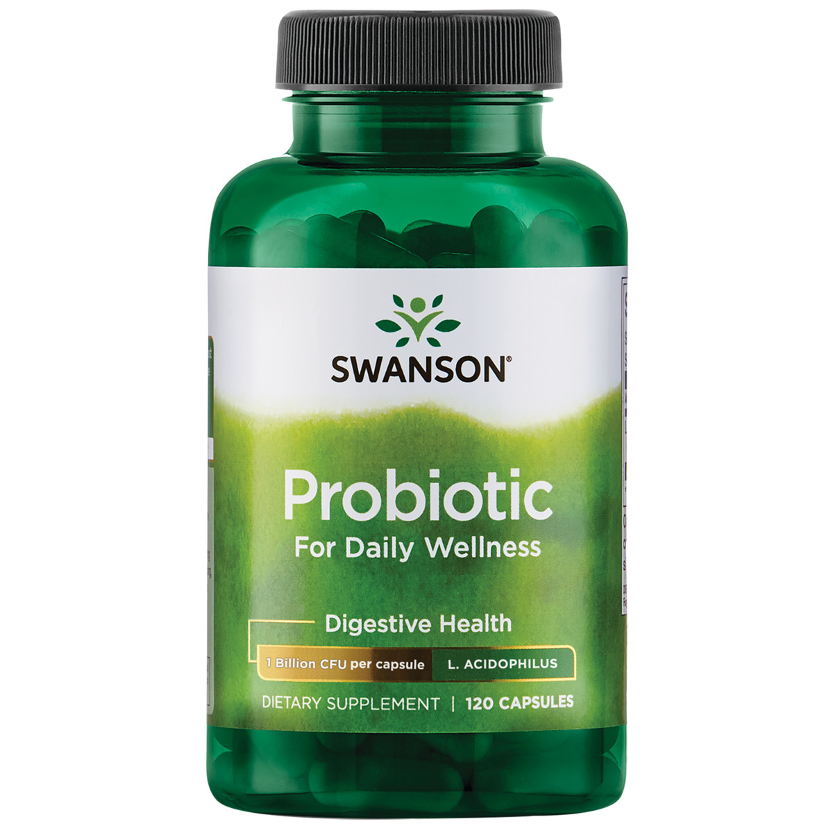 Swanson Probiotic for Daily Wellness 2 Billion Cfu 120 Capsules