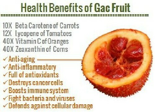 LIPOSOMAL VITAMIN C 40x STRONGER GAC FRUIT 1,200mg/oz ORGANIC Exp 12/2026 16oz