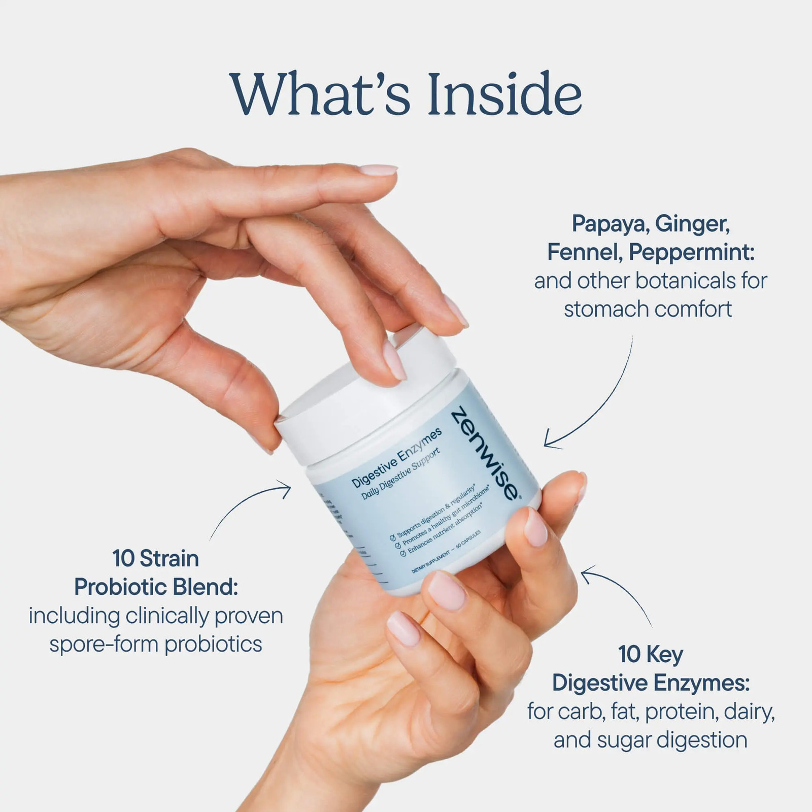 Zenwise Digestive Enzymes with Probiotics and Prebiotics for Gut Health and Bloa