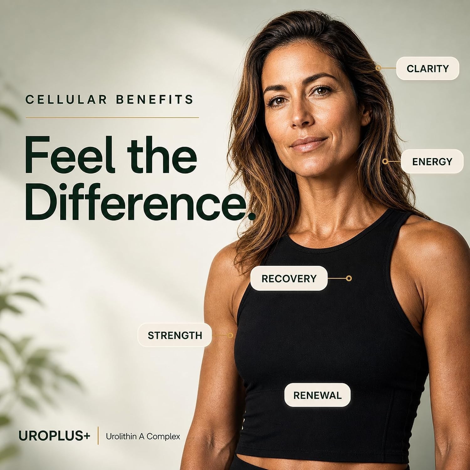 Liposomal Urolithin A 1250mg Complex | NAD+, NMD, Resveratrol | Energy, Cellular