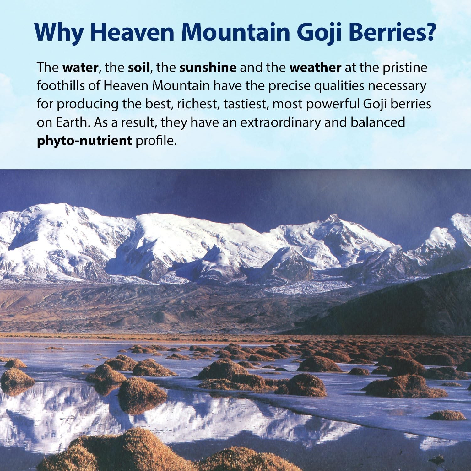Dragon Herbs Heaven Mountain Goji Berries 8 oz. (227g), 8 Ounce (Pack of 1)