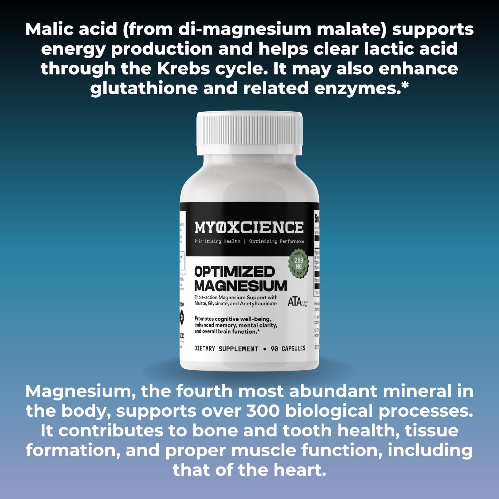 MYOXCIENCE Optimized Magnesium Glycinate + 90 Count (Pack of 1)