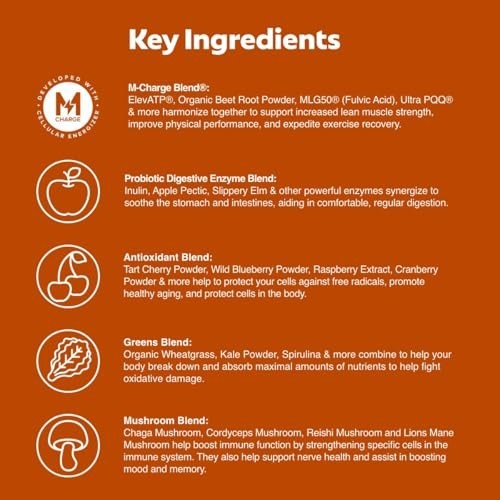 Vitality Daily Greens Powder – 28 Servings, 30 Superfoods, 9 Greens, Energy Boos