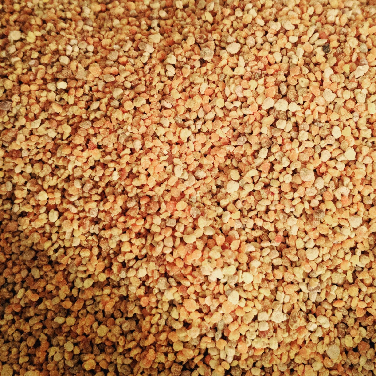 BEE POLLEN PURE RAW CAREFULLY HARVESTED 5oz / 141g Seasonal Allergies, Energy