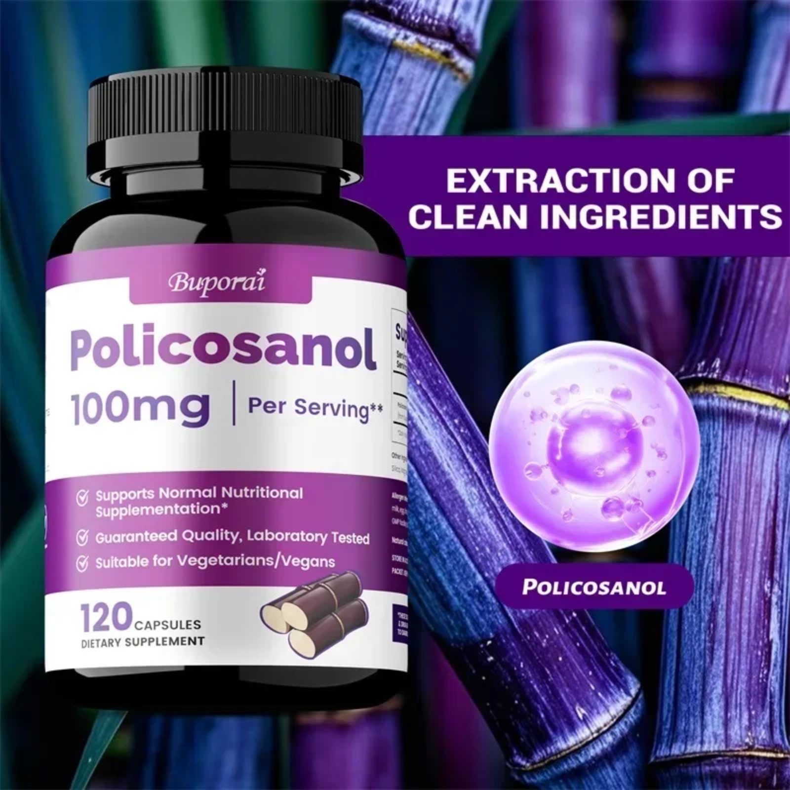 Policosanol 100mg 120pcs – Supports Heart Health, Balances Cholesterol, Non-GMO