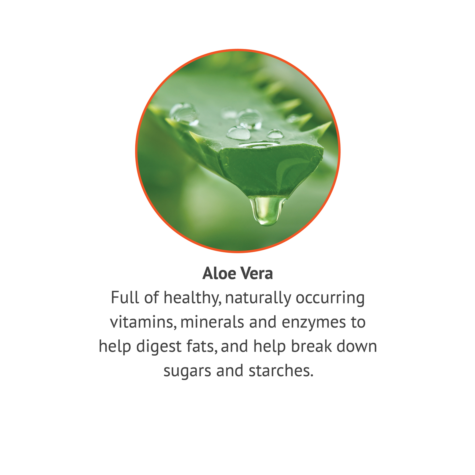 Botanic Choice Aloe Vera 500 Mg. Digestive Herbal Supplement, 90 Capsules
