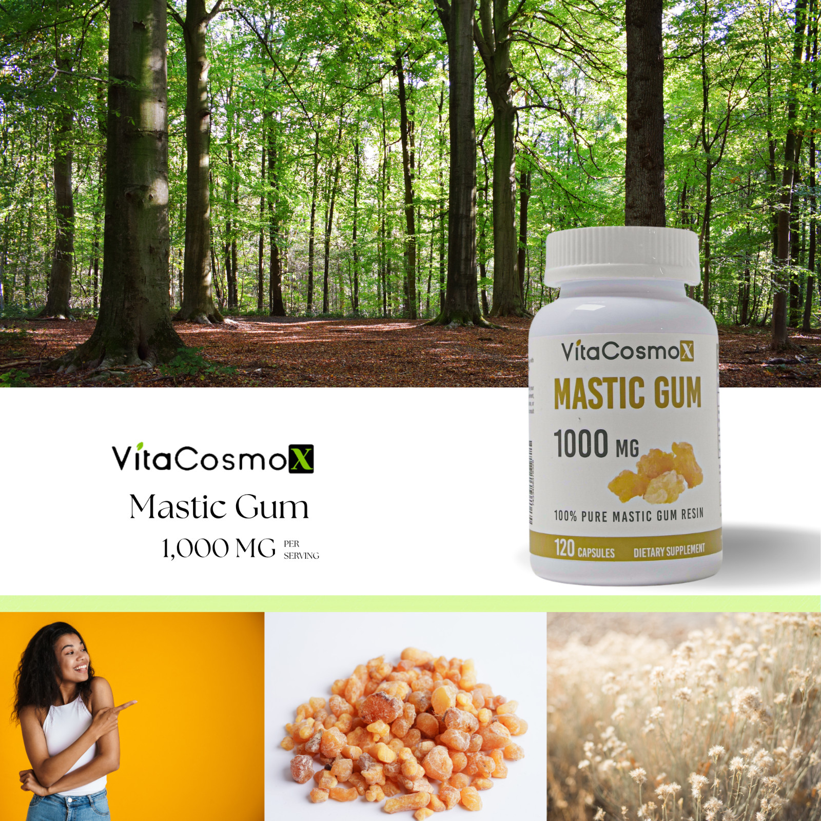 PipingRock Mastic Gum 1000mg 120 Capsules | Non-GMO & Gluten Free