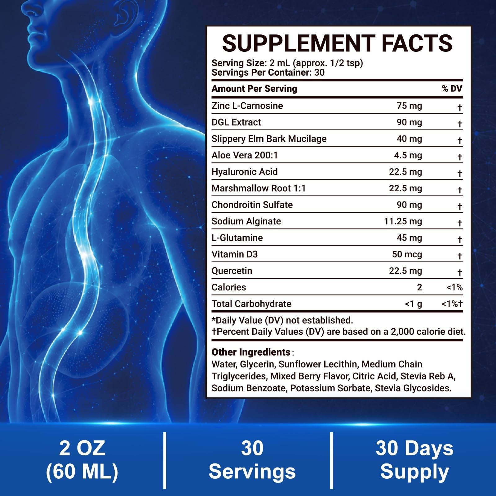 Esophageal Relief Drops – Slippery Elm, Zinc, L-Carnosine, Aloe Extract, Dairy F