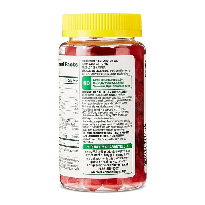 3 Pack Spring Valley Vitamin B Complex Strawberry Vegetarian Gummies, 70 Count