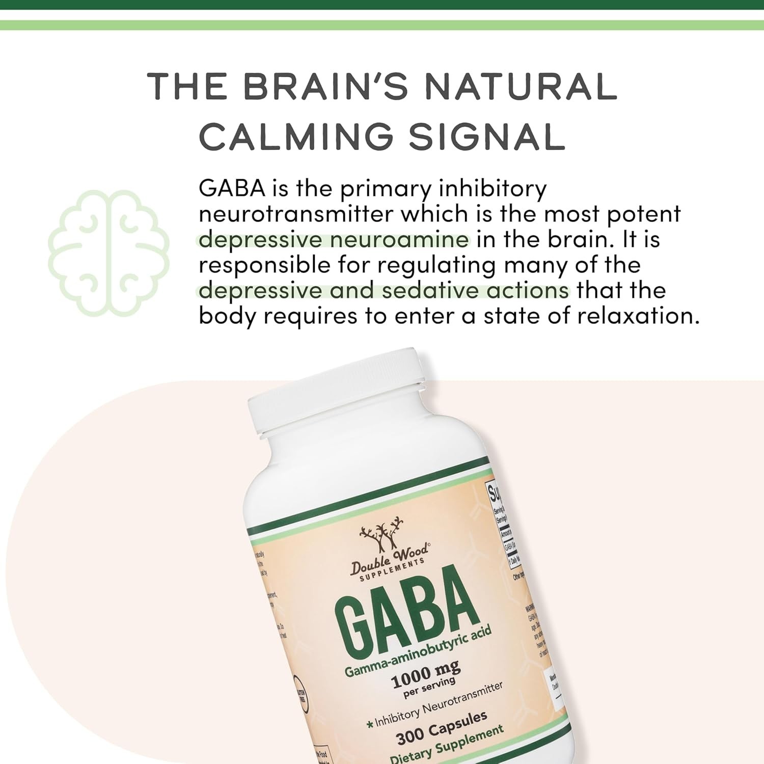 GABA Supplement (300 Capsules, 1,000mg per 300 Count (Pack of 1), Red