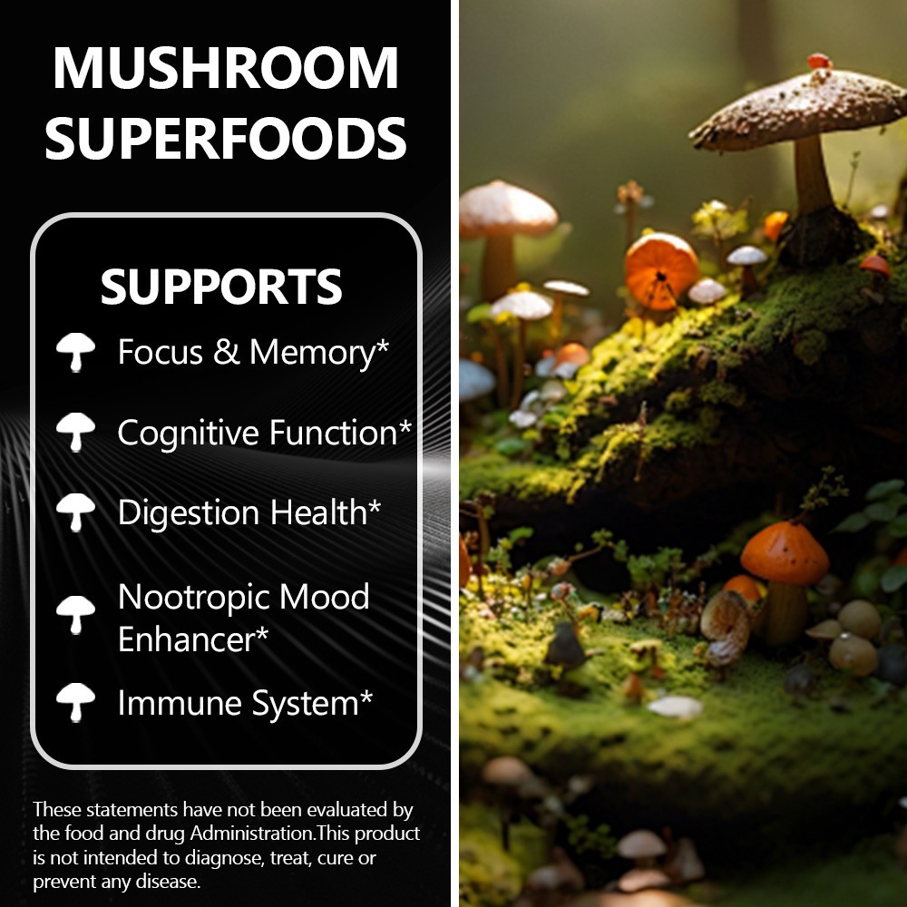 Organic Lion’s Mane Mushroom Supplement 13000 mg – MEMORY, FOCUS, STRESS SUPPORT