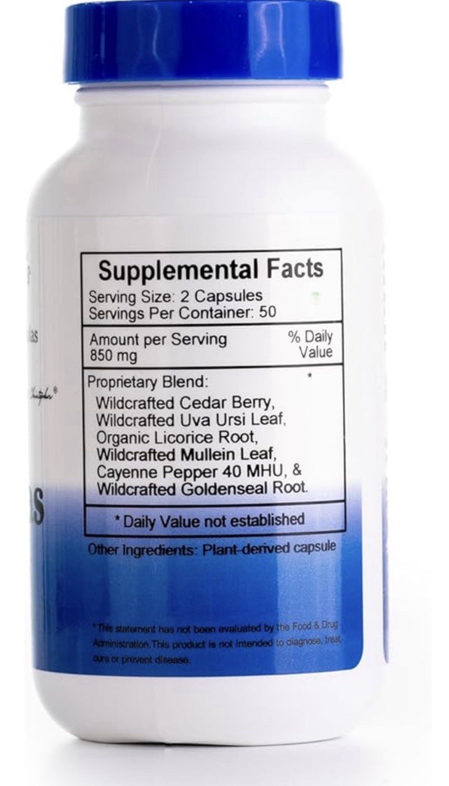 Dr. Christopher’s Pancreas Formula 100 Veg Caps 425 mg Each Non-GMO