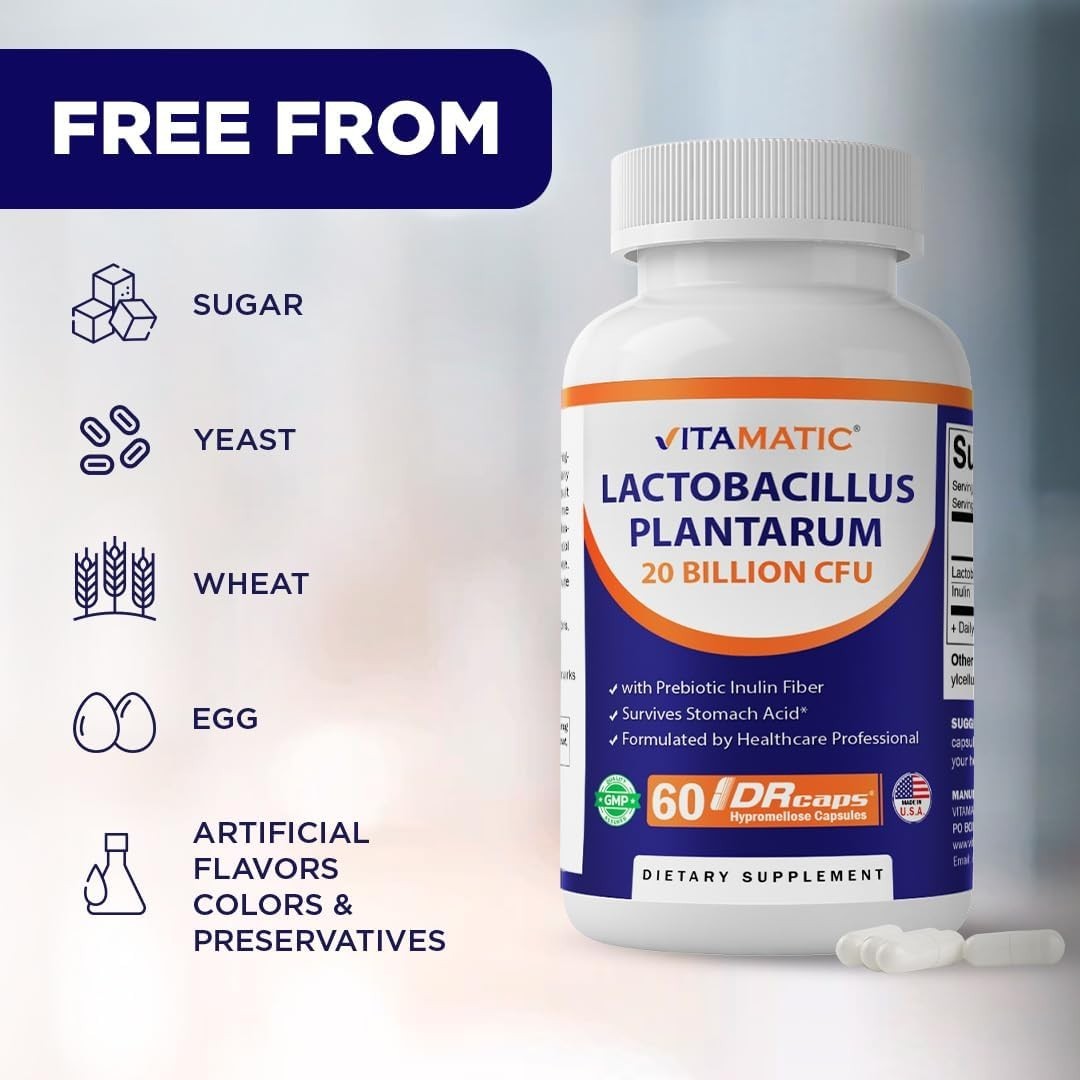 60 Count Lactobacillus Plantarum Capsules with Prebiotic Inulin for Gut Wellness