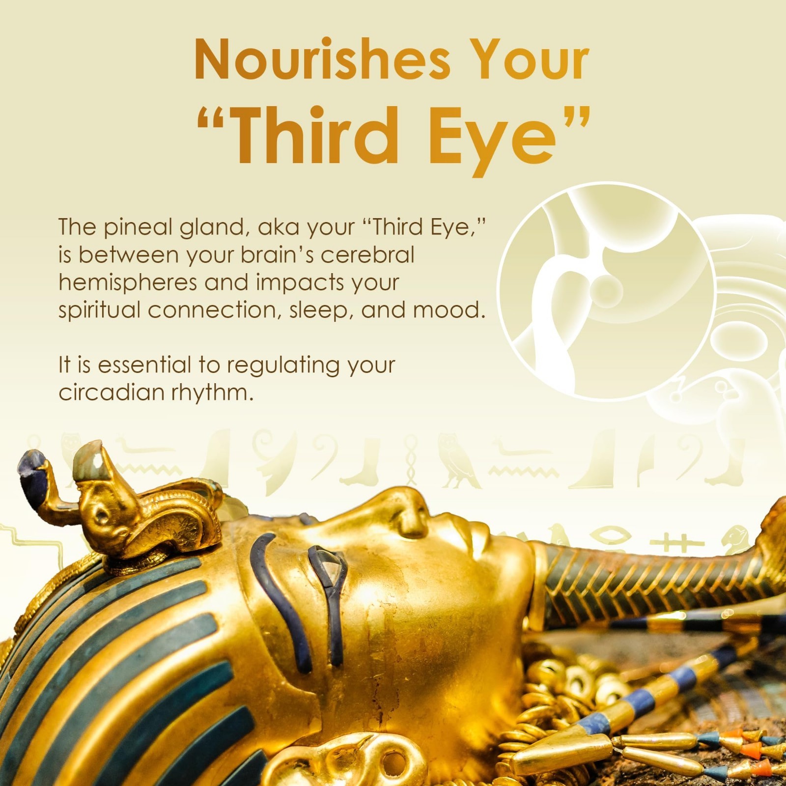 99.9% Pure Liquid Gold Ormus – 24K Monoatomic Gold for Third Eye Awakening & DNA