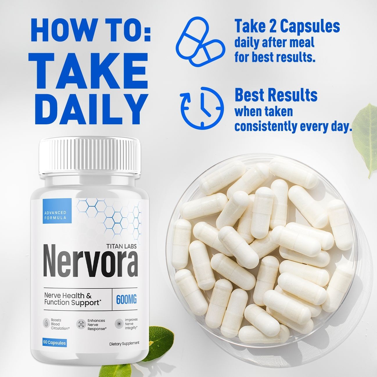 (1 Pack) Nervora Nootropic Natural Brain Support Supplement Nerv Ora 60 Caps