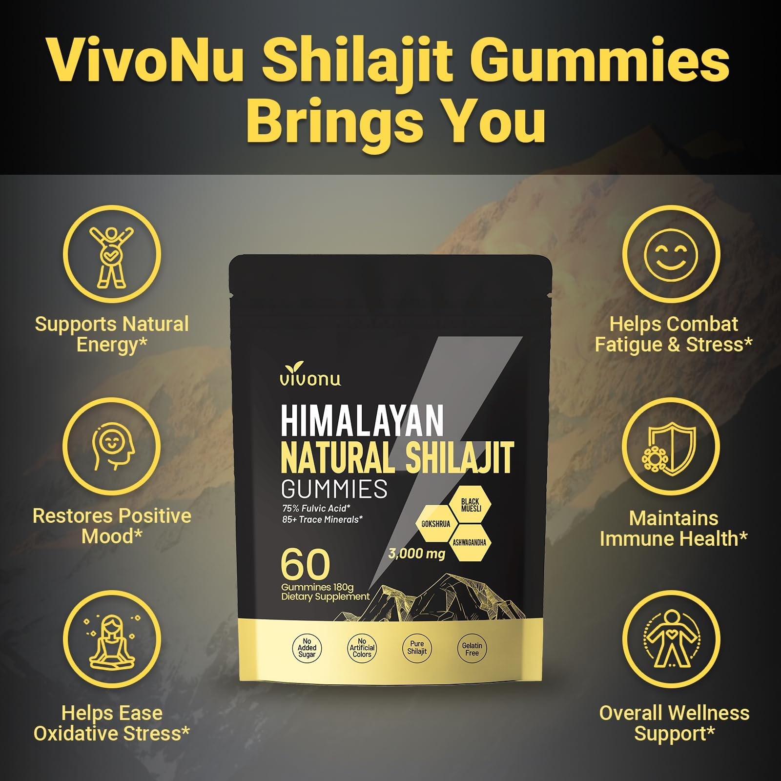 Himalayan9 Shilajit Gummies with 60 Count (Pack of 1), 1 Bag / 60