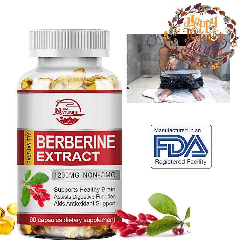 Blood Sugar Support Supplement 1200mg Berberine Cinnamon Extract – 240 Pills