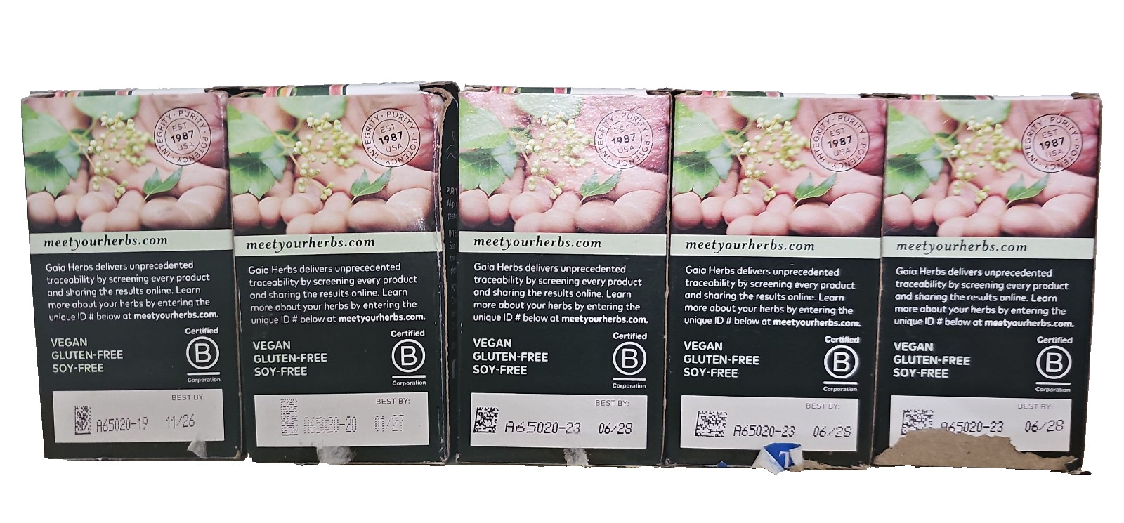 Gaia Herbs: 5 QUICK DEFENSE Echinacea & Elderberry, 20 ct each, Exp. 11/26-06/28