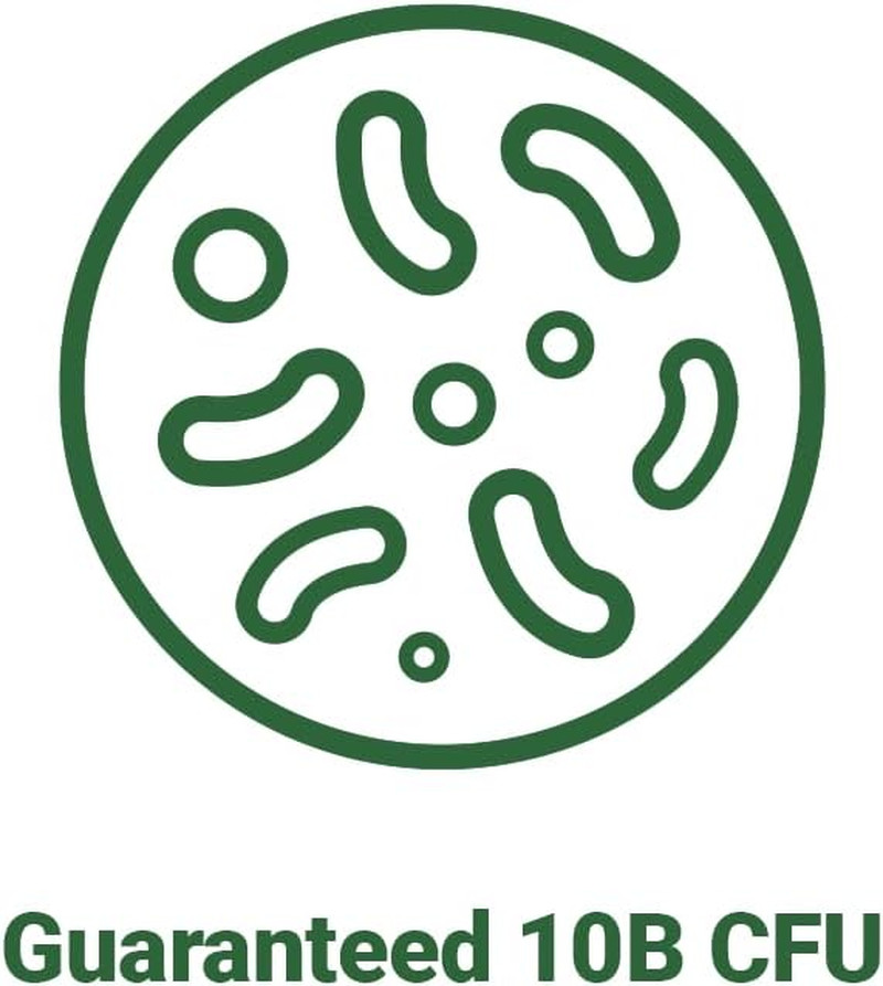 Bnrthin S30, Lactobacillus Gasseri BNR17, 10 Billion CFU Guaranteed, 30Capsules
