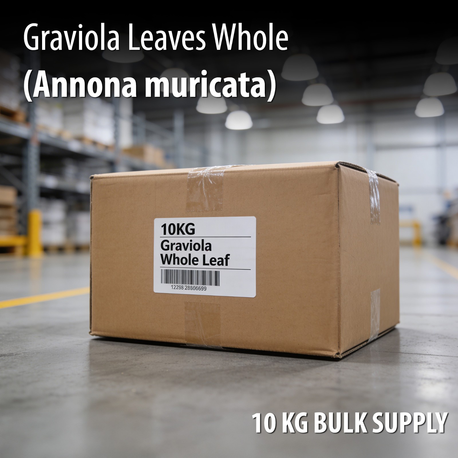 Graviola Whole Leaves 10KG Bulk Annona Muricata | Soursop Commercial Supply