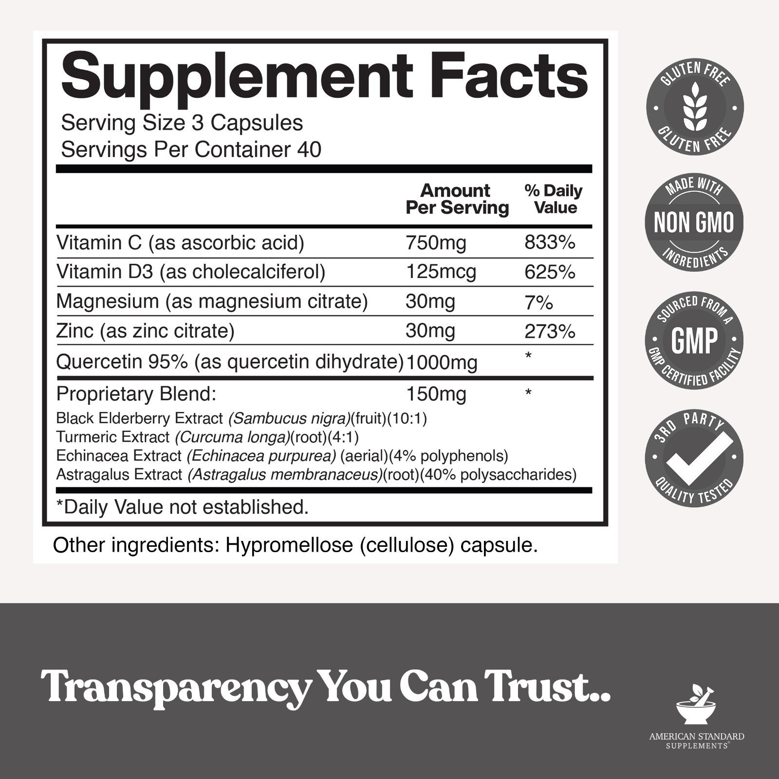 Quercetin 1000mg, Zinc, Vitamin C, Vitamin D, Magnesium – 9 in 1 Immune Support