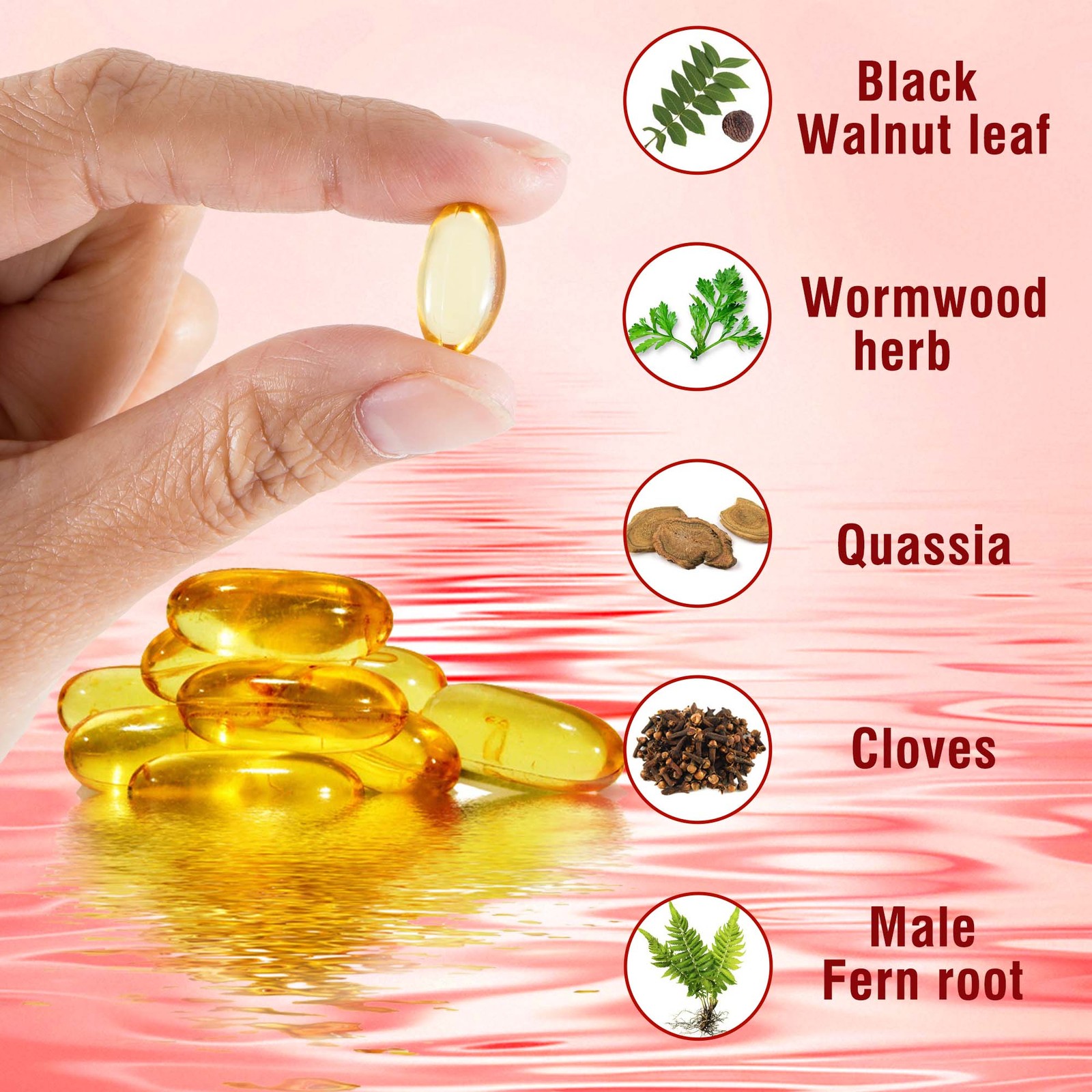 Wormwood Combination – Black Walnut, Cloves, Quassia – Intestine Cleanse & Detox