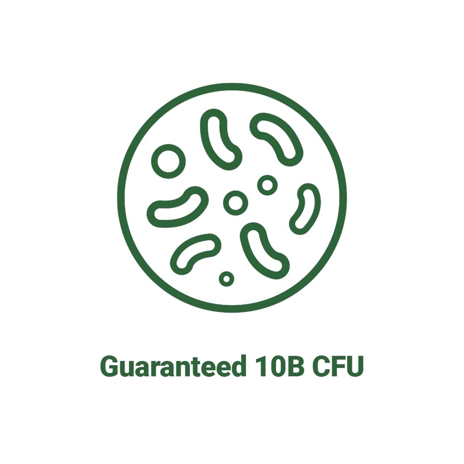 BNRThin S30, Lactobacillus Gasseri BNR17, 10 Billion CFU Guaranteed, 30Capsules