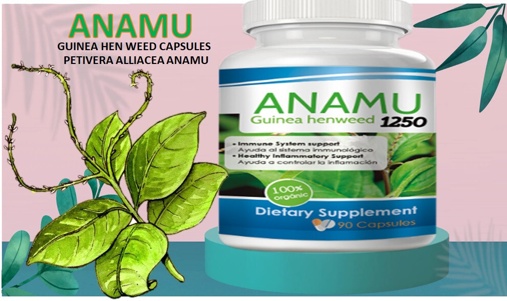 Probiotic madre cell Afa nopal Anamu Cell Protector Antioxidant regenex