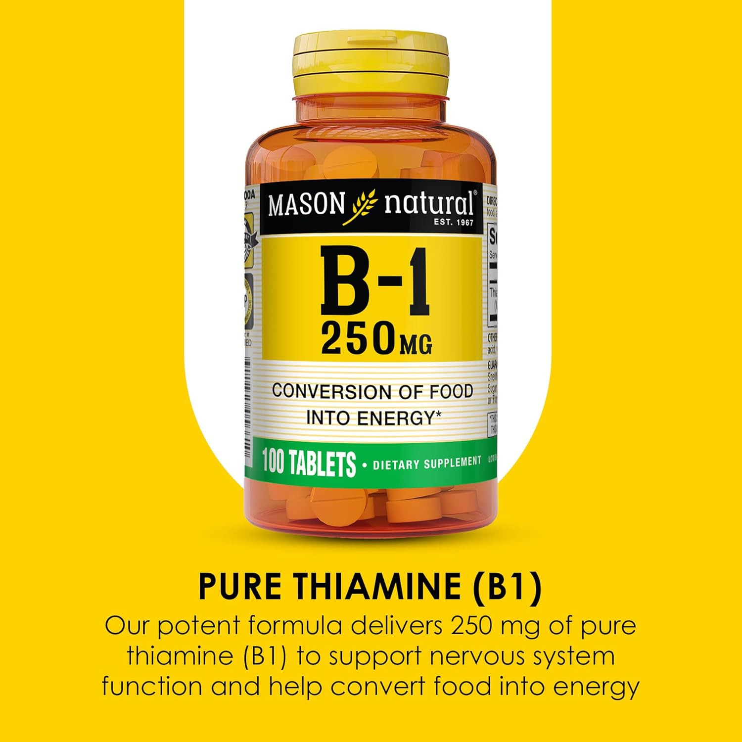 Vitamin B,1 Thiamine 250 Mg, 100 Day Supply Dietary Supplement, Easy,To,Swallow