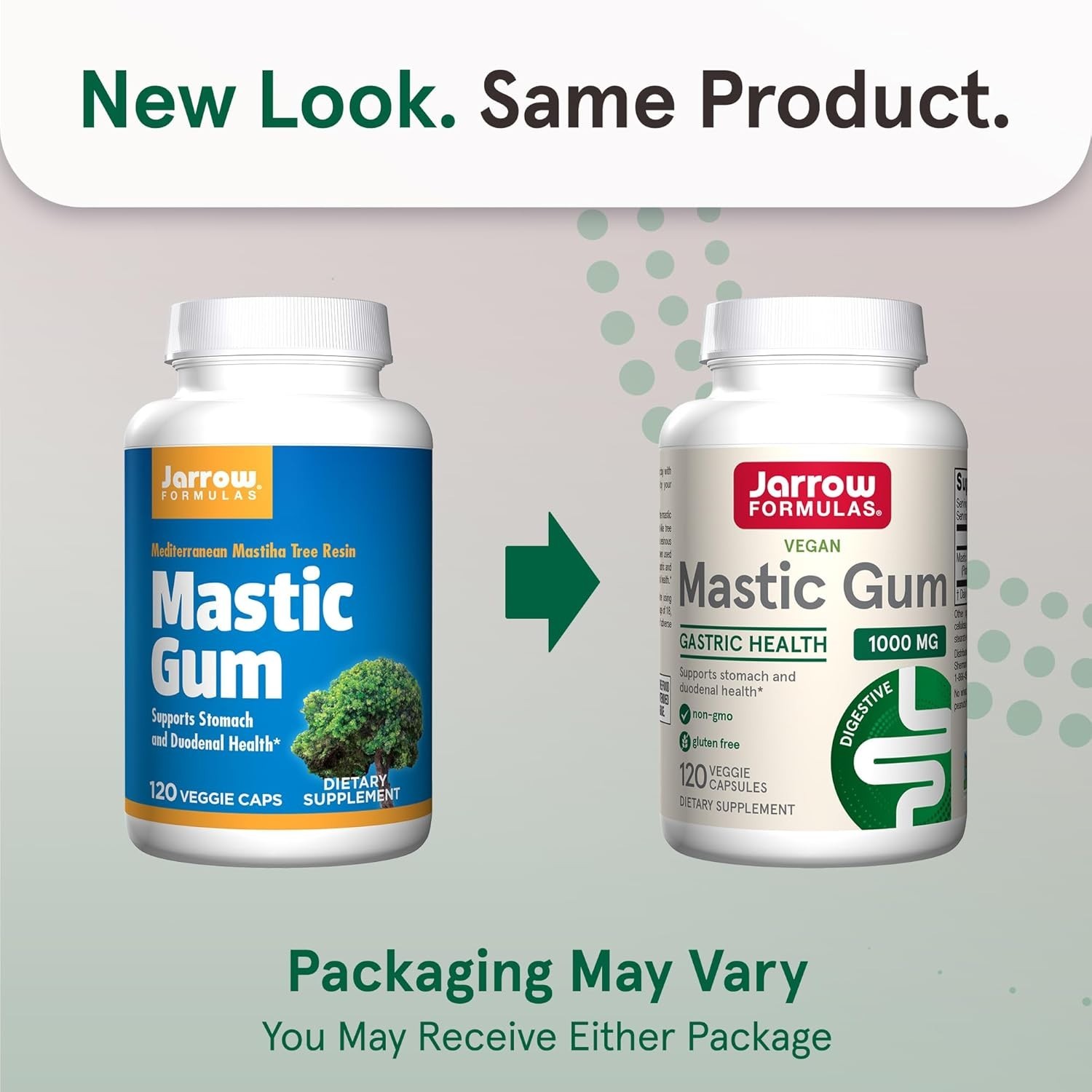 Jarrow Mastic Gum (1000 mg) Gastric Health 120 Veggie Capsules Each (Pack of 2)