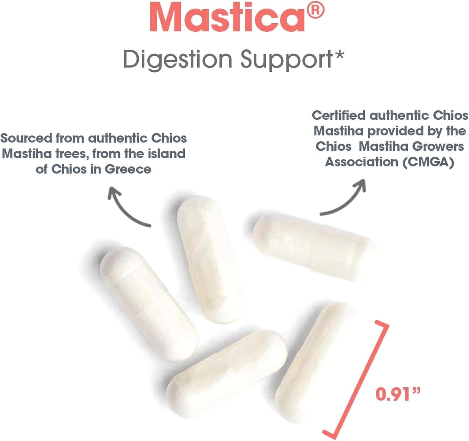 Mastica – Mastic Gum Capsules, Digestive Health Supplement for Adults, Mastic…